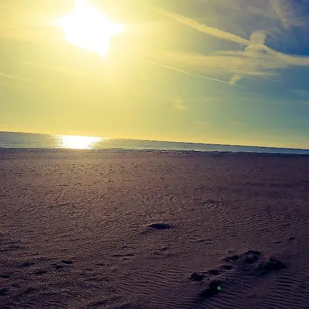 Caraibi Milano Marittima