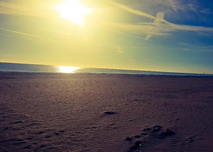 Caraibi Milano Marittima