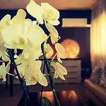Hotel Caraibi - Long Breakfast Until 11-00 And Dinner 3*