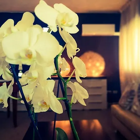 Hotel Caraibi - Breakfast Until 11-00 And Dinner-mirabilandia Partner 3*