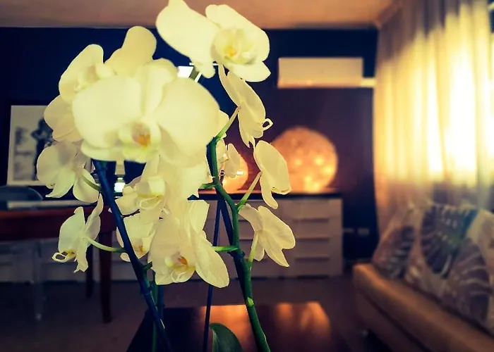 Отель Caraibi - Long Breakfast Until 11-00 And Dinner 3*