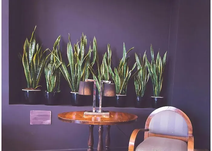 Caraibi - Long Breakfast Until 11-00 And Dinner 3* Milano Marittima